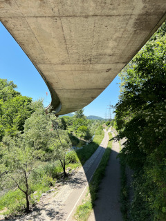 Blick von unter einer Brücke, die sich kühn über eine bewaldete Landschaft schwingt, verbildlicht die Metaposition in der Philosophie